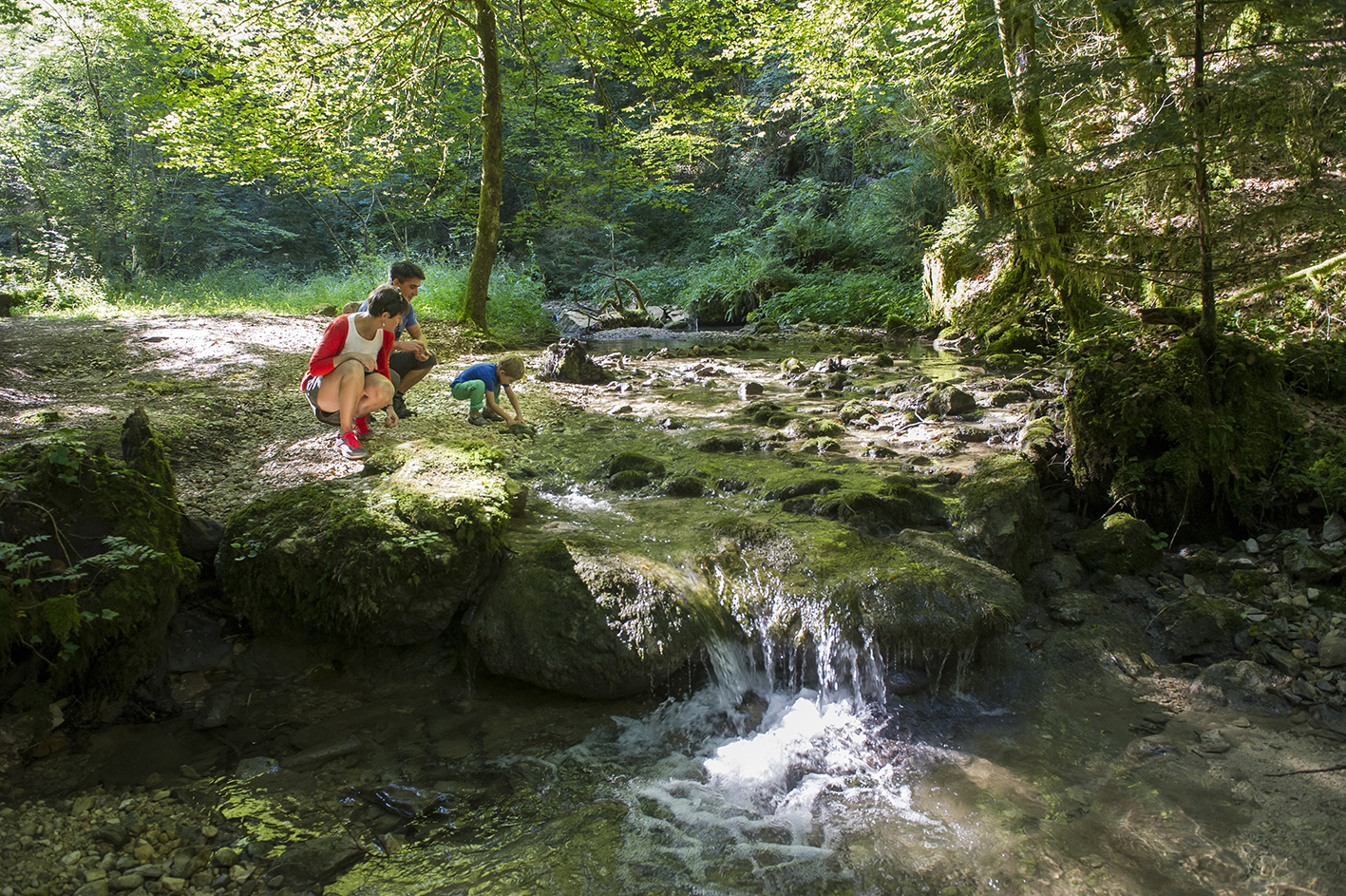 Walks and excursions - Haut Bugey Tourism